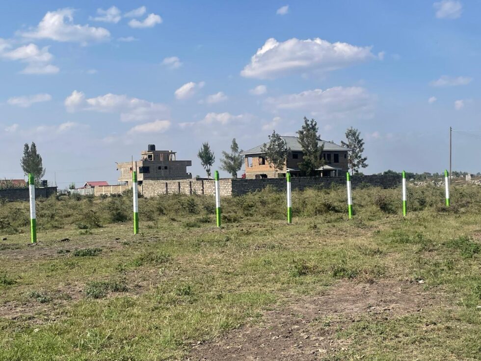 Baraka Prime gardens 2 plots showing the neighbourhood