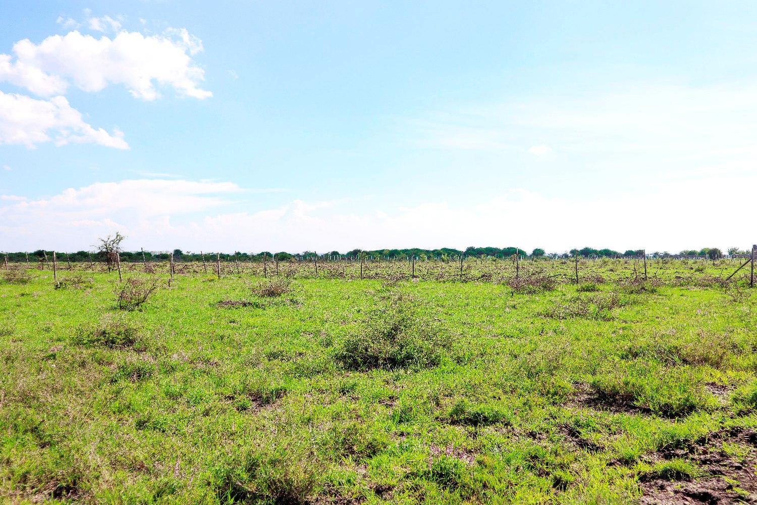 baraka prime phase112 Baraka Gardens Phase 1 – Gikumari, Ruiru