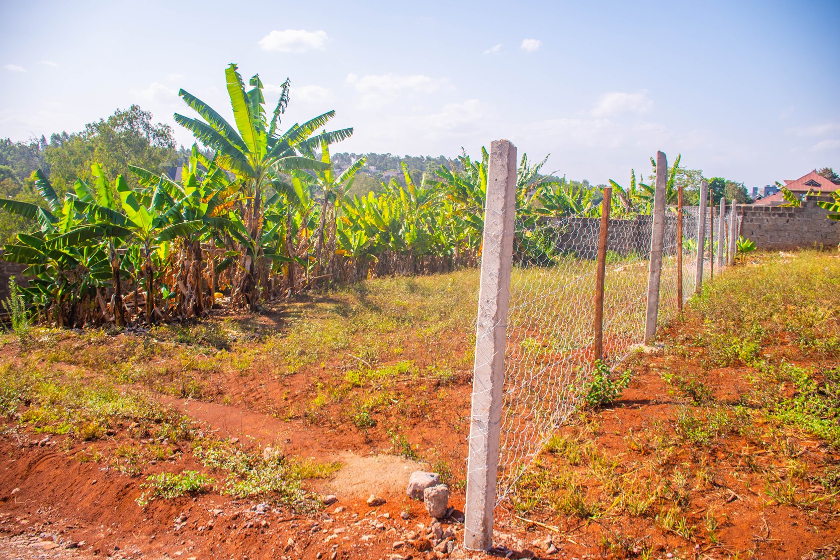 Ufanisi Court Phase III – Mugutha, Ruiru